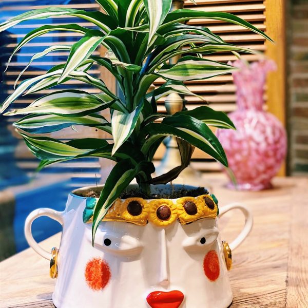 Sunflower Orta Boy Saksı