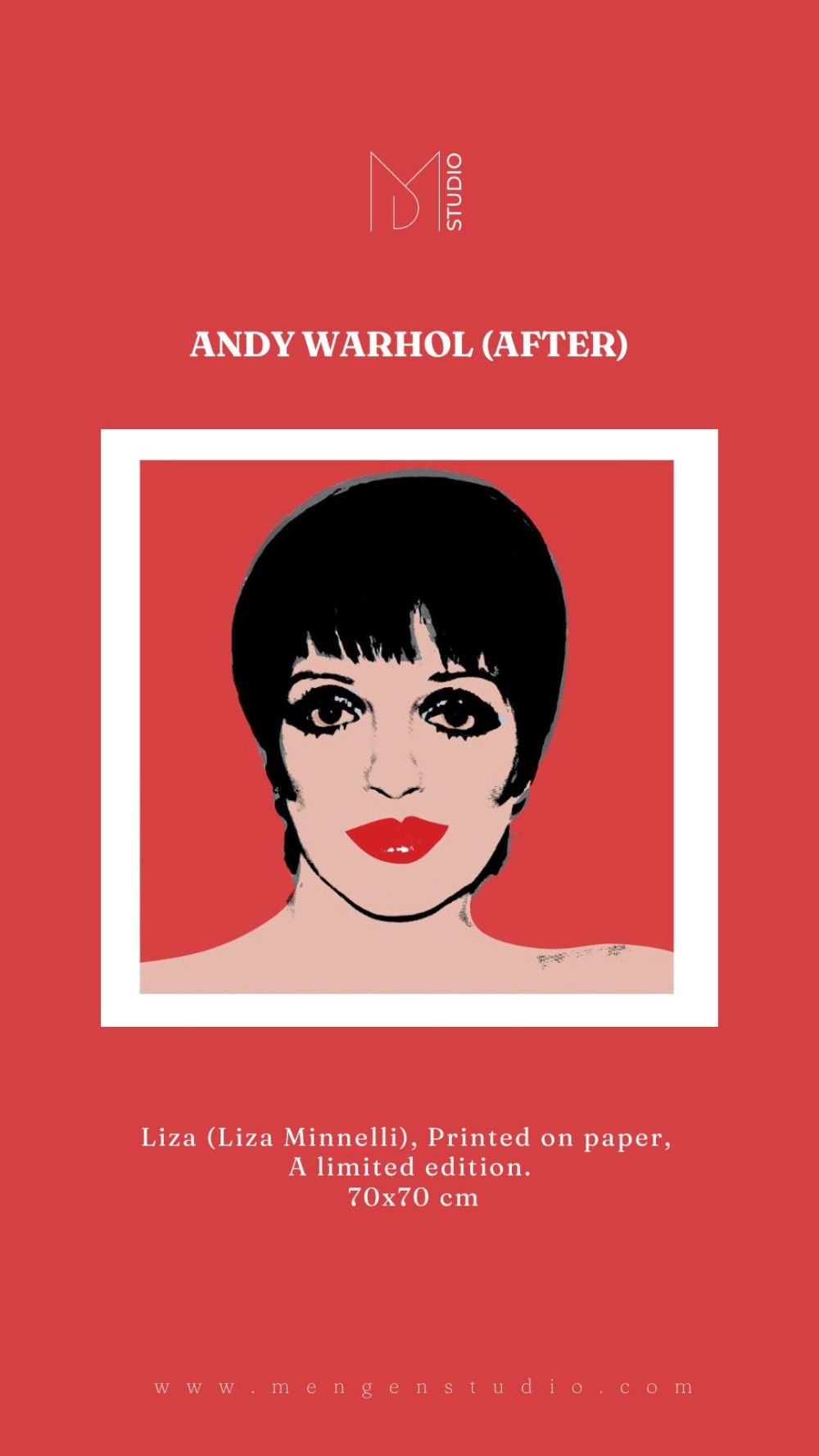 Andy Warhol (After)